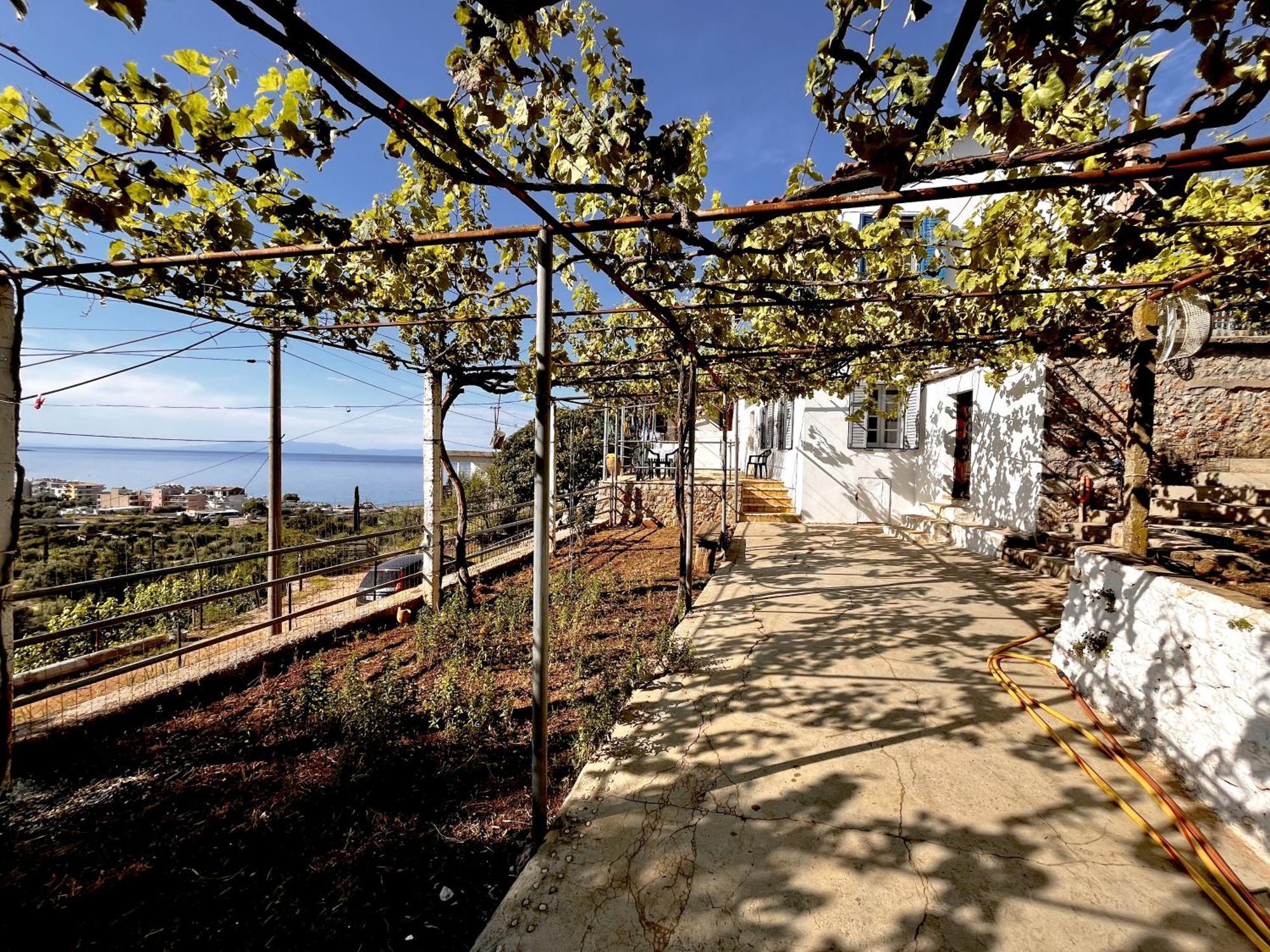 Hotel Sea Horizon House Alexis Himarë Exteriér fotografie